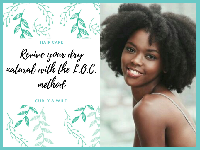 HOW TO REVIVE YOUR DRY NATURAL HAIR USING THE L.O.C. METHOD